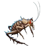 AlbinoWeta.webp