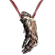 Croaker Talisman.webp
