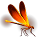 PoE1 - Firefly (3 of 7).png