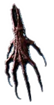 PoE1 - Strange Limb.png