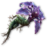 PoE2 - Amor Mandragora.png