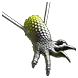Devourer Talisman.webp