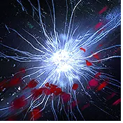 PoE1 - Grasp the Past.webp