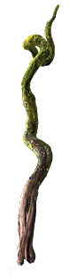 PoE1 - Mirebough.png