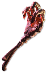PoE2 - Sacred Flame.png