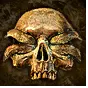 PoE1 - Labyrinth Trial Chance.webp