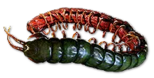 PoE2 - Ryslatha's Coil.png