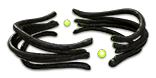 PoE1 - Darkness Enthroned.png