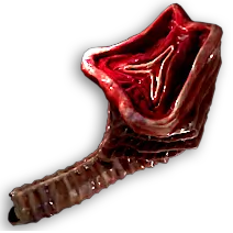 PoE2 - The Siren's Vocal Cords.png