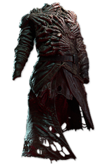 PoE2 - Skin of the Loyal.png