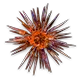 PoE1 - Blessing of Xoph.webp