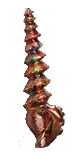 PoE1 - Roseus Glyph.png