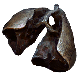 PoE1 - Malachai's Lungs.png