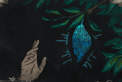 PoE1 - The Forbidden Fruit.png