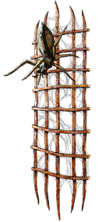 PoE1 - Lycosidae.png