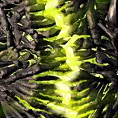PoE1 - Darkness Rising.webp