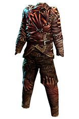 PoE1 - Skin of the Loyal.png