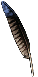 PoE1 - Sekhema Feather.png