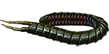 PoE1 - Ryslatha's Coil.png