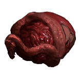 PoE1 - Malachai's Entrails.png